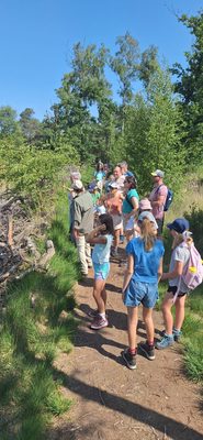 Wandeling Landschap de Liereman
