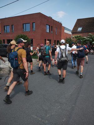 Zotte 50 van Gheel