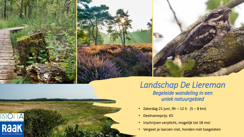 Affiche van Wandeling Landschap de Liereman